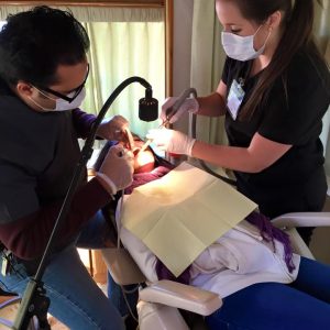 Dentistry & Pre-Dent